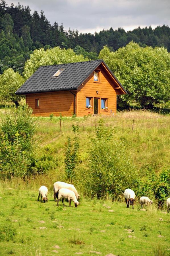 Raj Helmuta Rabe (Bieszczady) Exterior foto