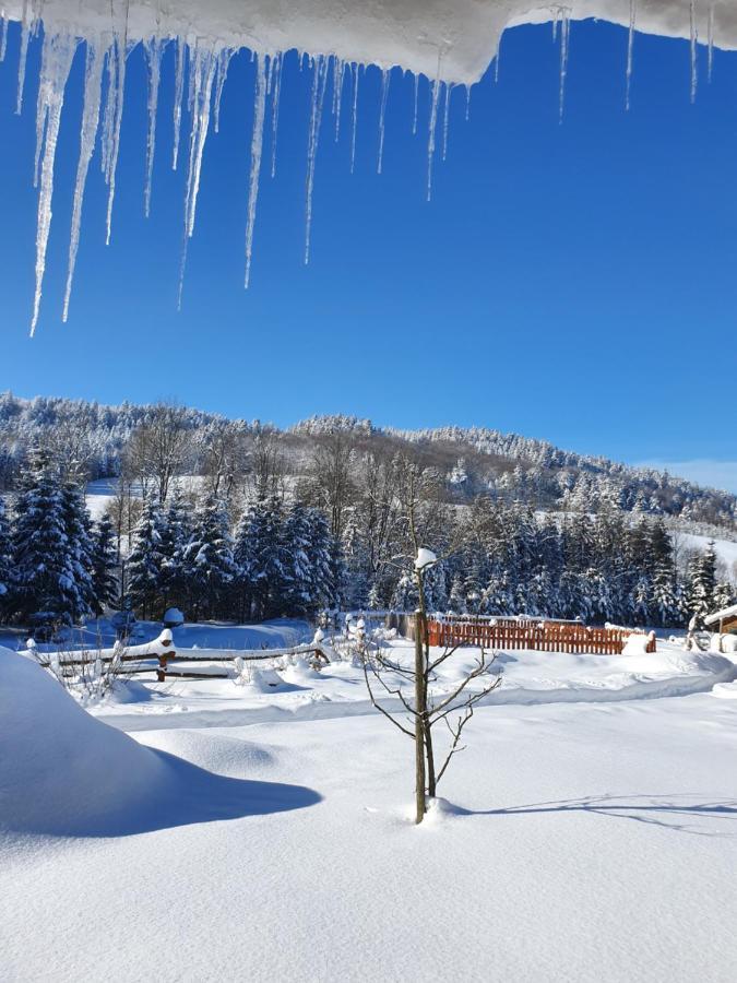 Raj Helmuta Rabe (Bieszczady) Exterior foto